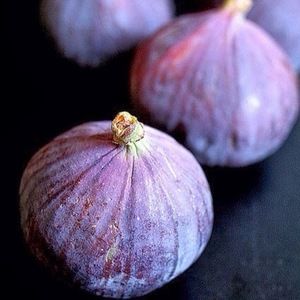 Meet your Posher, Eli